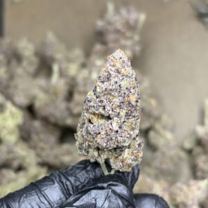 Blockberry (Super Boof)