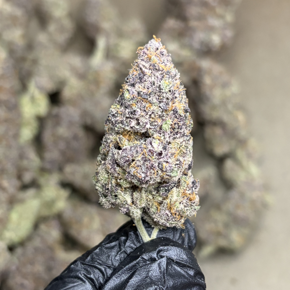 Blockberry (Super Boof)