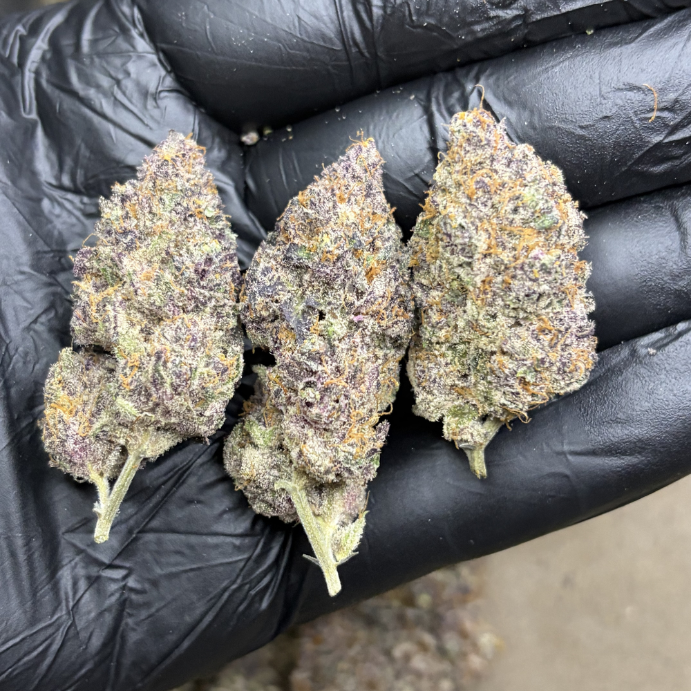 Blockberry (Super Boof) - Image 2