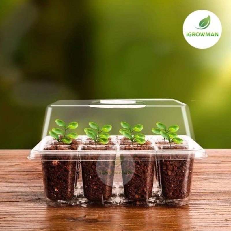 ถาดเพาะเมล็ดทรงสูง(12หลุม)ถาดเพาะต้นกล้าถาดปักชำกิ่ง seedling tray พร้อมฝาบ่มระบายอากาศควบแน่นต้นไม้ - Image 6