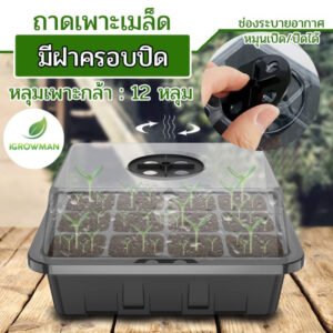 กล่องเพาะเมล็ดทรงสูงฝาปิดมีรูระบายเพาะต้นกล้า ชุดเพาะเมล็ด เพาะชำแคคตัส12ช่อง(ฝารูและฝาทึบ)เซ็ต3ชิ้น