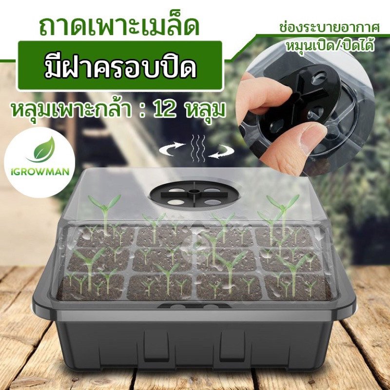 กล่องเพาะเมล็ดทรงสูงฝาปิดมีรูระบายเพาะต้นกล้า ชุดเพาะเมล็ด เพาะชำแคคตัส12ช่อง(ฝารูและฝาทึบ)เซ็ต3ชิ้น