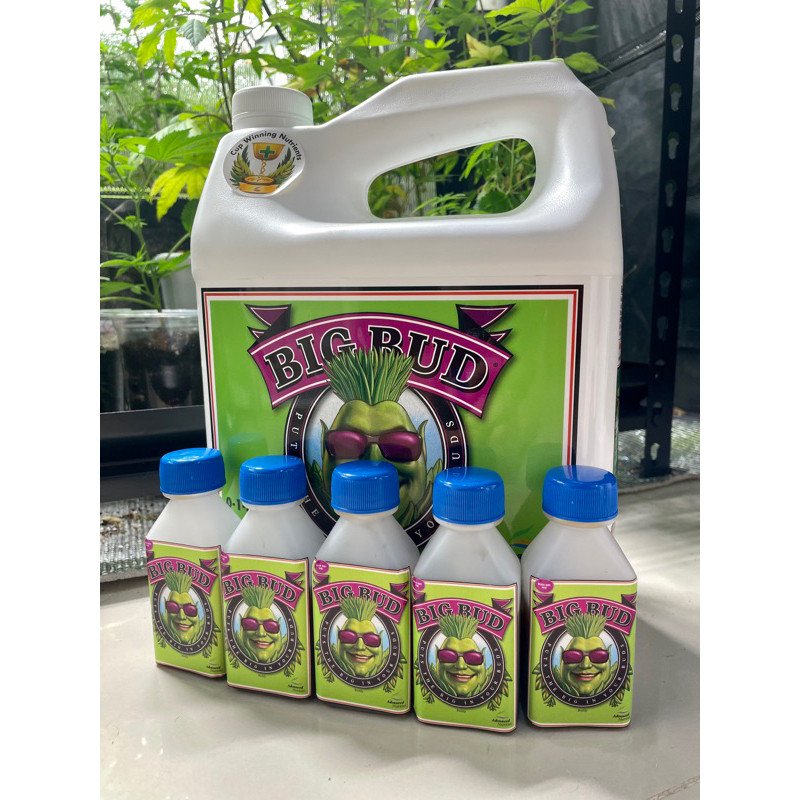 Big Bud Advanced Nutrients 30ml ปุ๋ยเร่งดอกใหญ่ เพิ่มน้ำหนักดอกและผลผลิต ปุ๋ยนอกของแท้100% ปุ๋ยUSA - Image 4