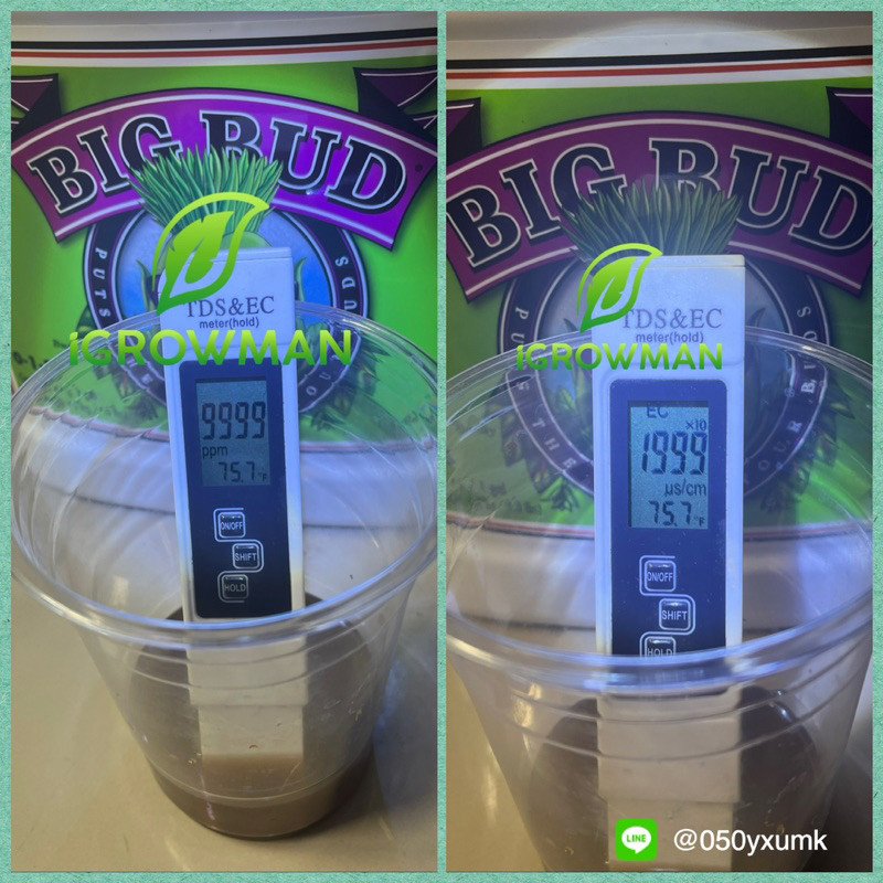 Big Bud Advanced Nutrients 30ml ปุ๋ยเร่งดอกใหญ่ เพิ่มน้ำหนักดอกและผลผลิต ปุ๋ยนอกของแท้100% ปุ๋ยUSA - Image 3