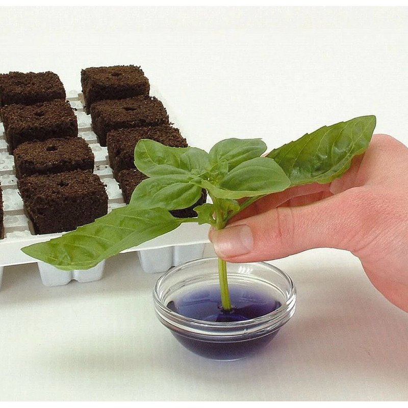 Clonex Rooting Gel 100ml ขวดแท้ เจลเร่งราก น้ำยาเร่งราก เจลโคลนนิ่ง เจลกิ่งชำ ขวดแท้ ของแท้100%🇺🇸 - Image 5