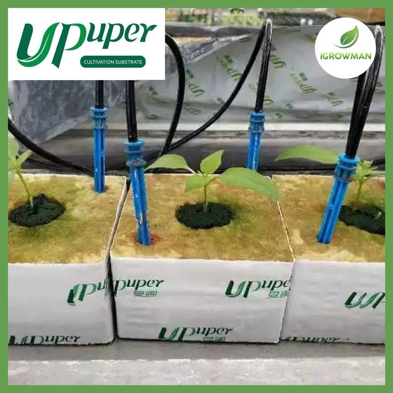 Upuper Rockwool Cubes ร็อควูลก้อน 4นิ้ว ใยหินปลูกต้นไม้ สำหรับปลูกต้นไม้ CB100S Cultivation Plug - Image 3