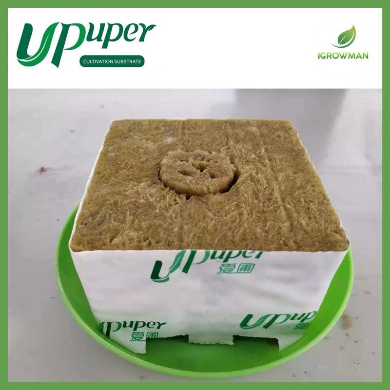 UPUPER Rockwool Cubes ร็อควูลก้อน ขนาด 6 นิ้ว ใยหินปลูกต้นไม้ สำหรับปลูกต้นไม้โดยเฉพาะ CM15PRO - Image 3