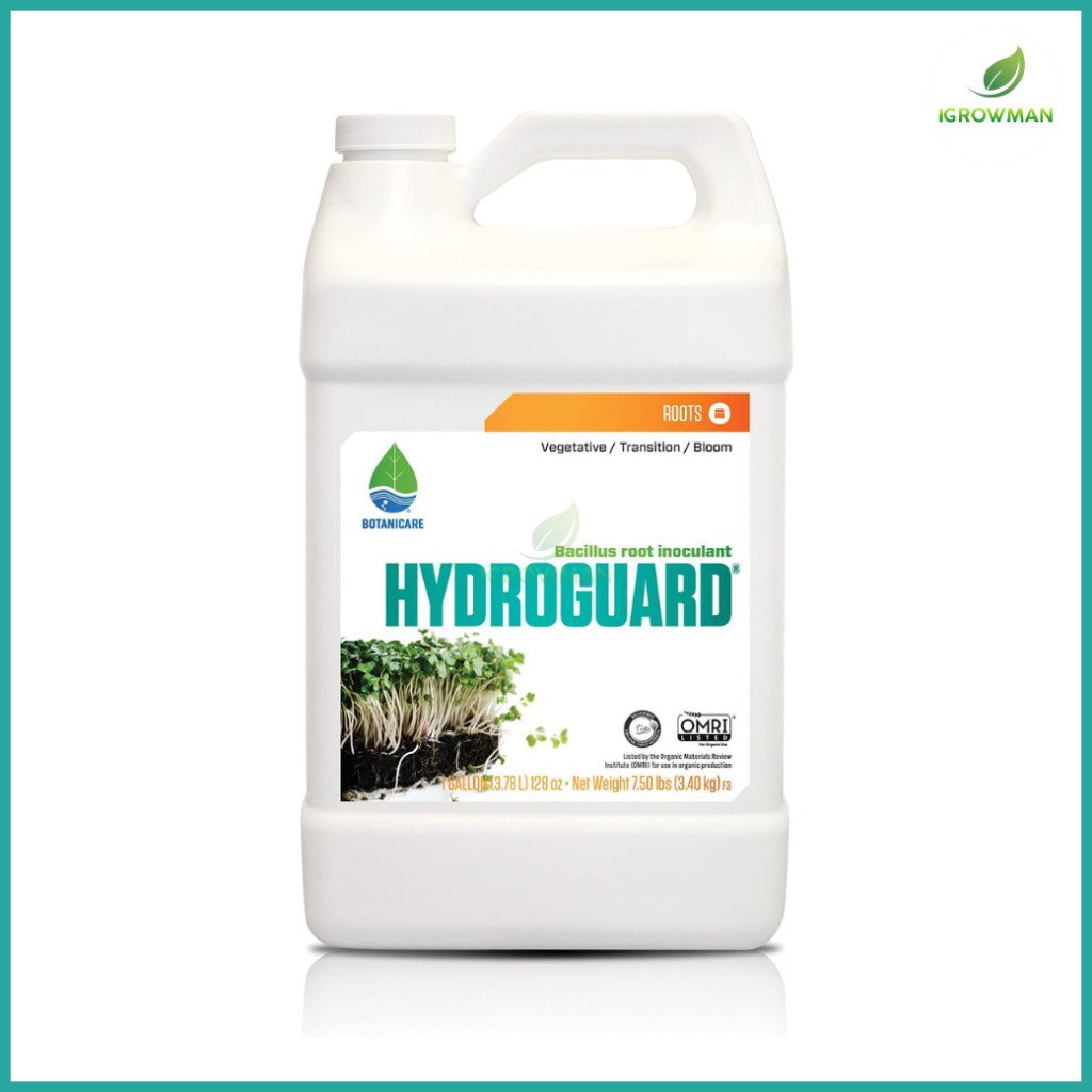 Botanicare Hydroguard ของแท้100% หัวเชื้อจุลินทรีย์บำรุงราก ป้องกันรากเน่า (Bacillus) 1 แกลลอน - Image 2