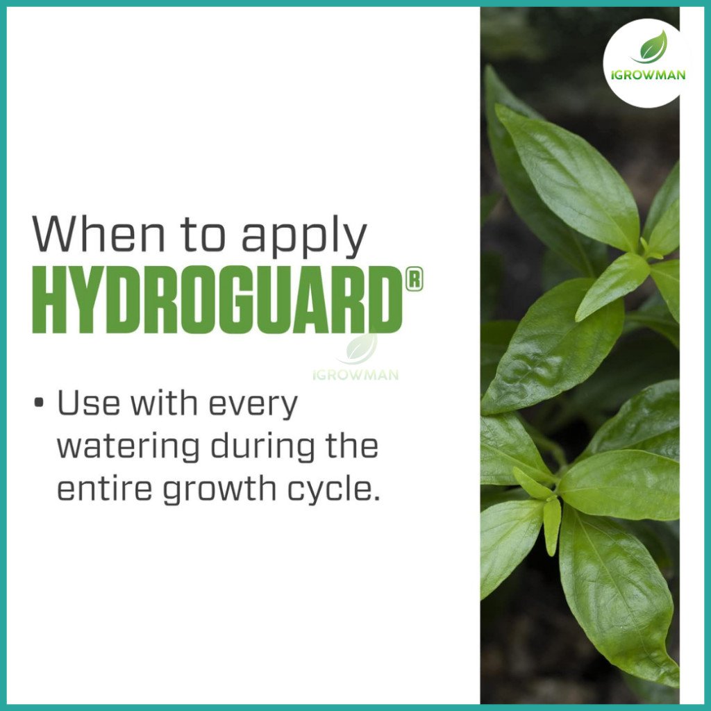 Botanicare Hydroguard ของแท้100% หัวเชื้อจุลินทรีย์บำรุงราก ป้องกันรากเน่า (Bacillus) 1 แกลลอน - Image 6