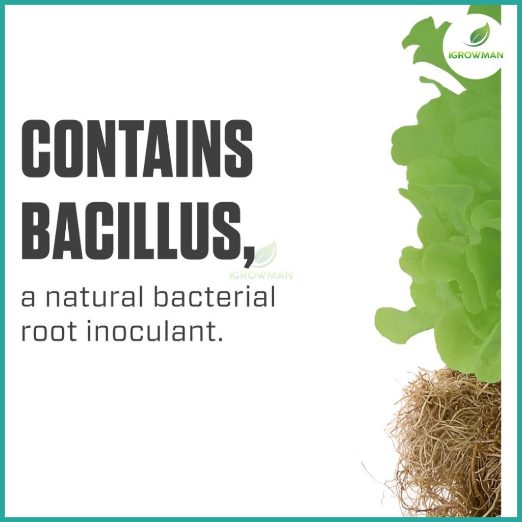 Botanicare Hydroguard ของแท้100% หัวเชื้อจุลินทรีย์บำรุงราก ป้องกันรากเน่า (Bacillus) 1 แกลลอน - Image 5