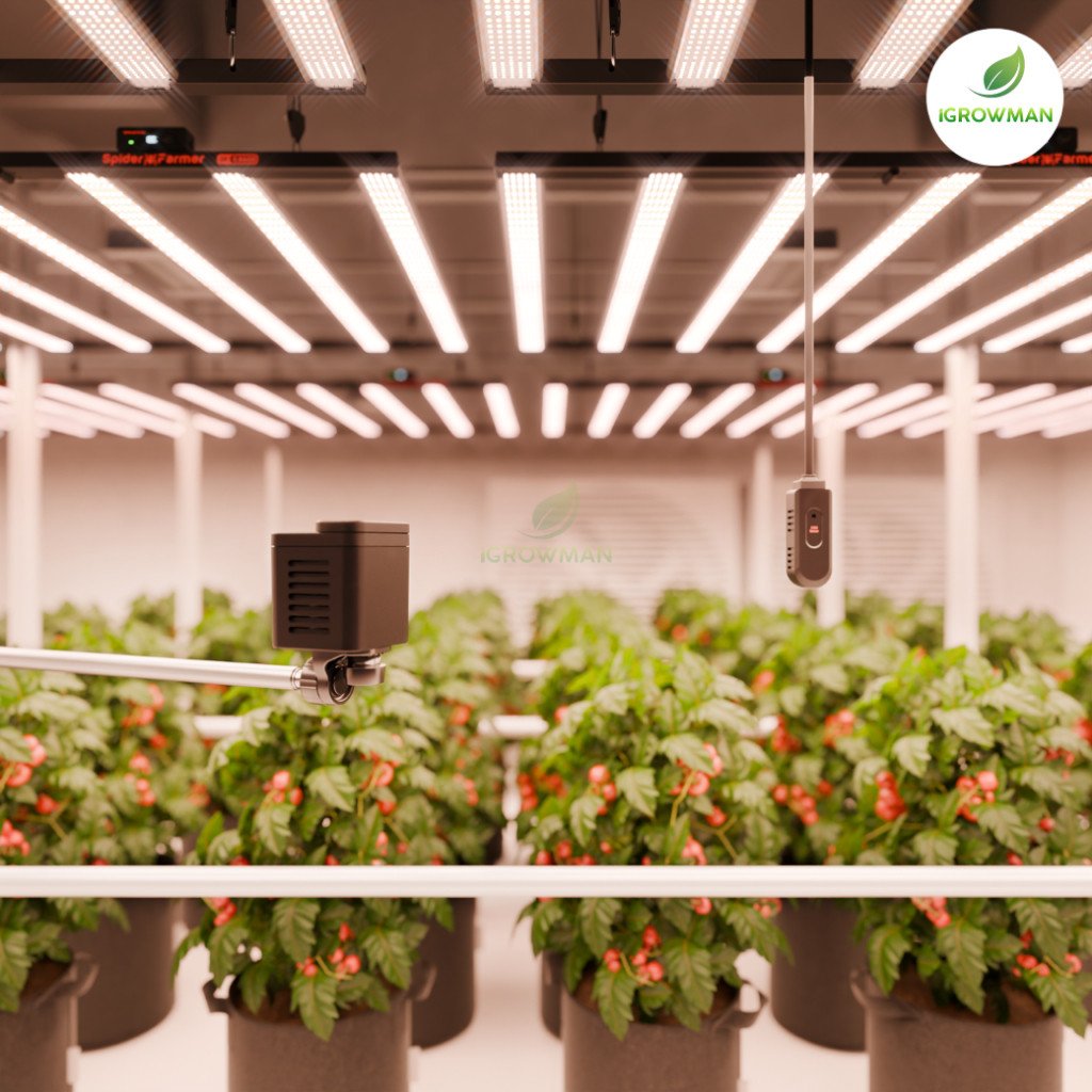 Spider Farmer GGS SensorPro Kit ระบบวัด CO2 & แสง PAR อัจฉริยะ คุมการปลูกแม่นยำ สำหรับ Grow Tent - Image 7